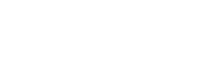 Logo DY